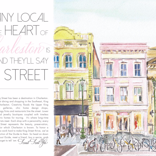 tsg-charleston-elegant-king-street-buildings