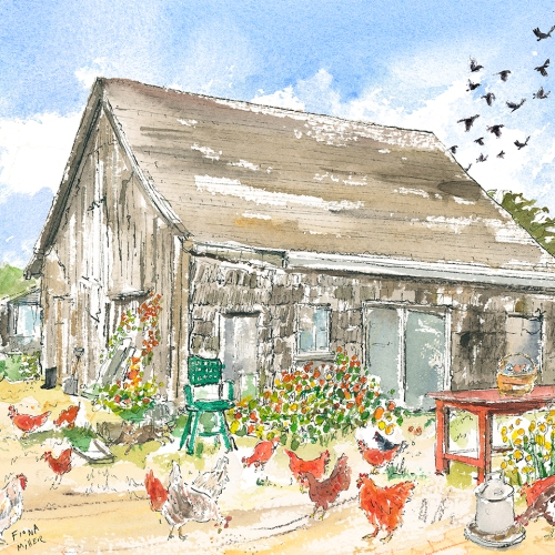 farm-illustration-for-kids