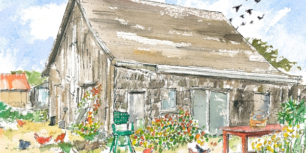 farm-illustration-for-kids