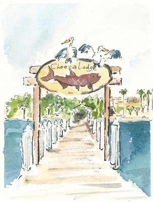 wedding-invite-cheeca-lodge