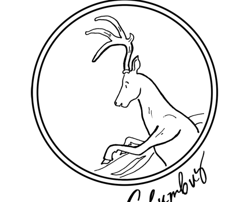 illustrated-deer-in-circle-for-experience-columbus