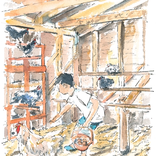 kid-collecting-chickens-eggs-illustration