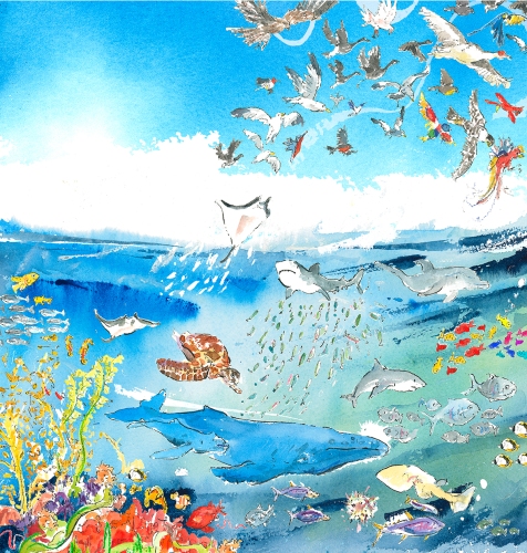 ocean-creatures-illustration