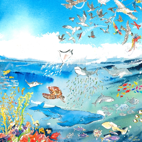 ocean-creatures-illustration