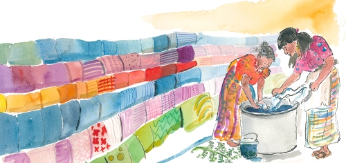 dyeing-cotton-illustration-for-kids-book