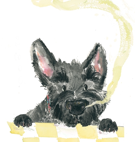 scottish-terrier-illustration-character