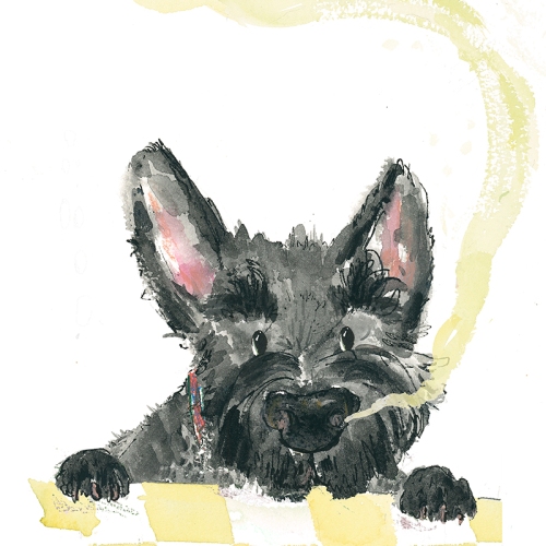scottish-terrier-illustration-character