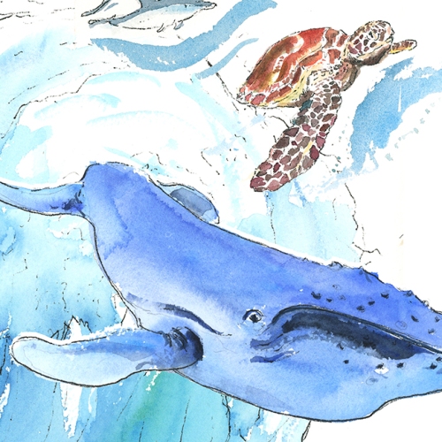 sea-creatures-whale