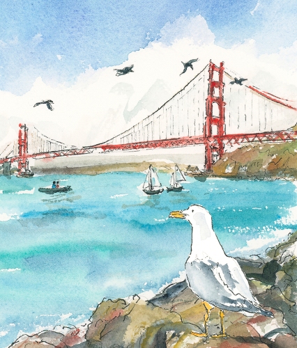 seagull-at-golden-gate-bridge