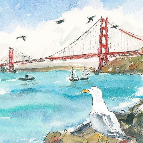 seagull-at-golden-gate-bridge