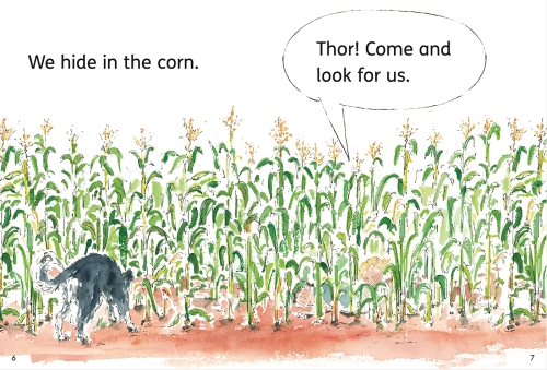 kids-play-hide-and-seek-in-cornfield