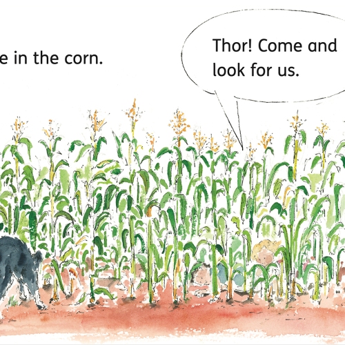 kids-play-hide-and-seek-in-cornfield