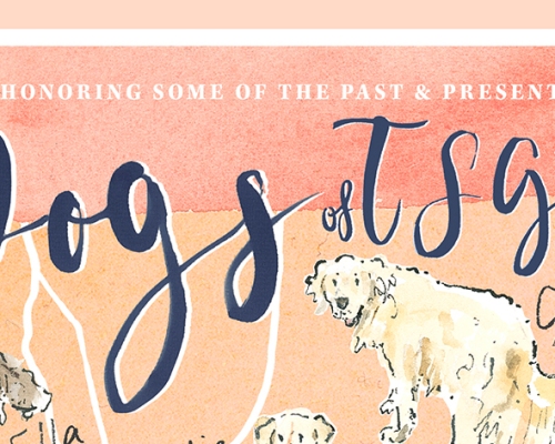 TSG-magazine-dogs-map