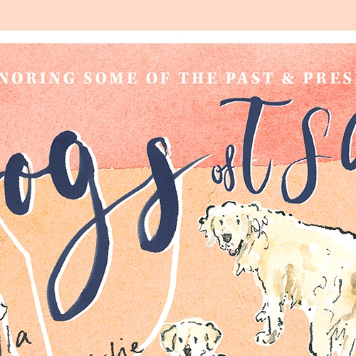 TSG-magazine-dogs-map