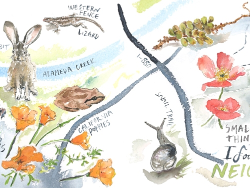 animal-map-watercolor-illustrated